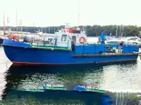 Bateaux de travail à vendre